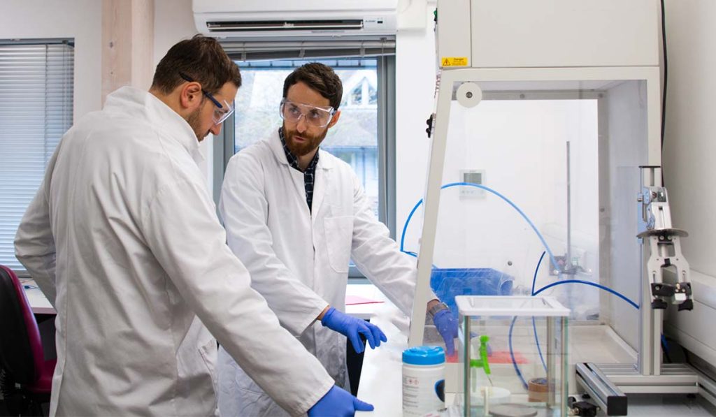 Medical device design verification process Team Consulting