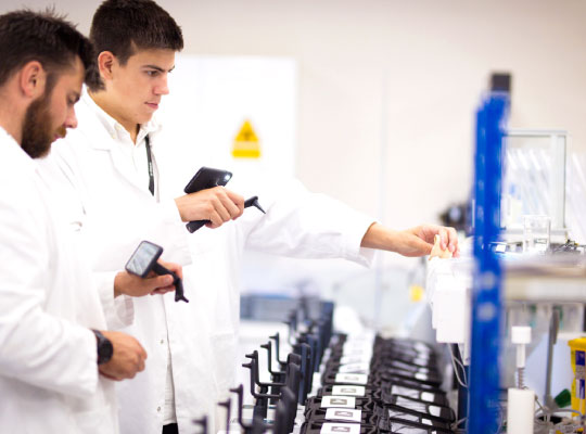 Graduates And Interns Team Consulting