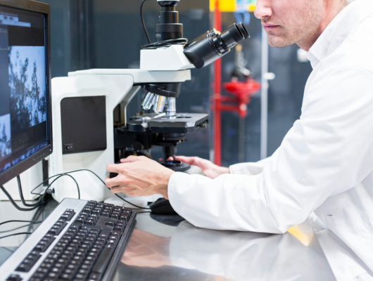Image depicting a tissue examination for surgical pathology