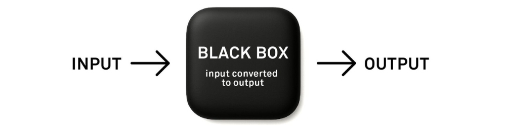 The black box modelling process
