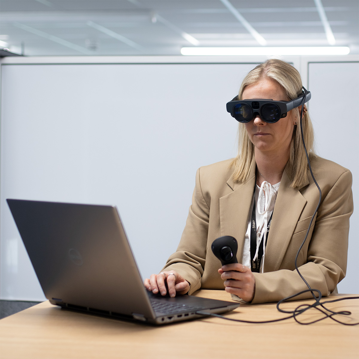 Mixed reality