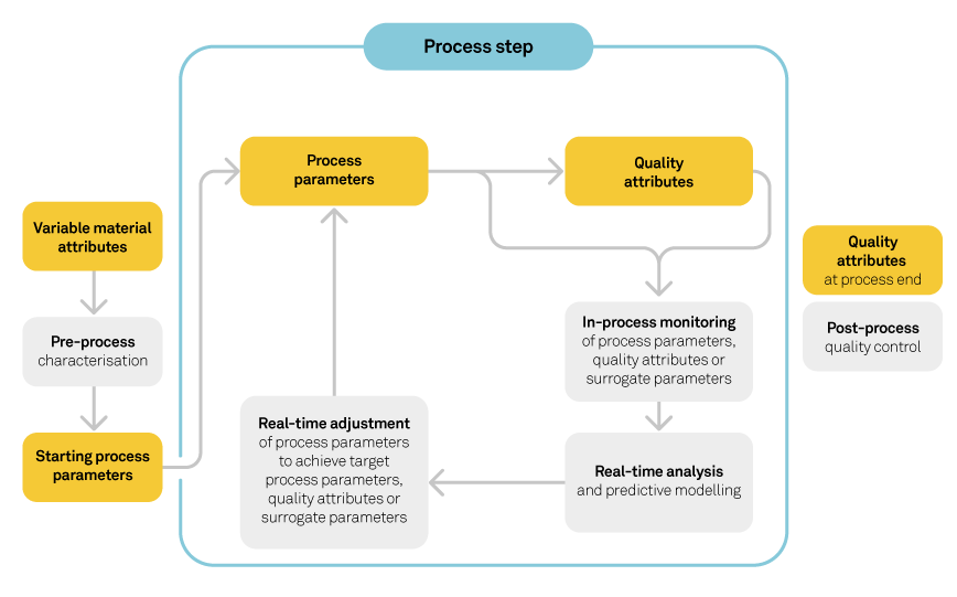 Diagram of process development for cell and gene therapy production