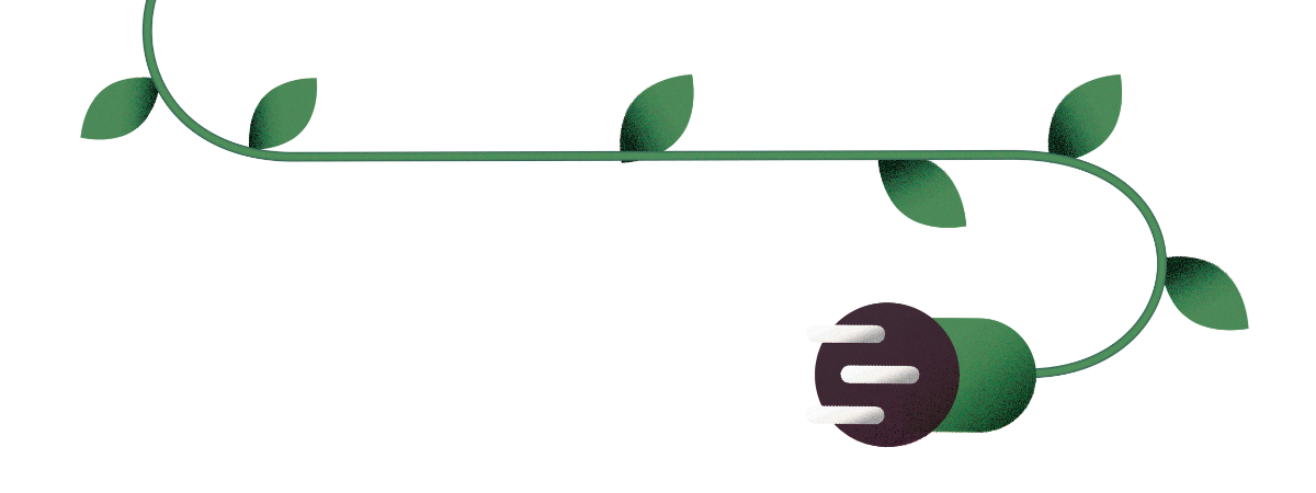 illustration of a vine with a plug image